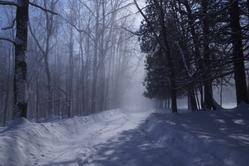 yaddo